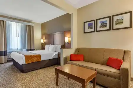 Comfort Suites Raleigh Walnut Creek - 35