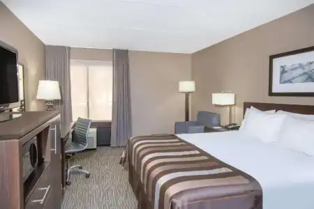 Hampton Inn by Hilton Los Angeles Airport - 55