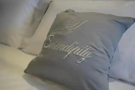 Serendipity B&B - 53
