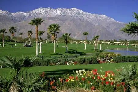 Indian Palms Country Club and Resort - 16