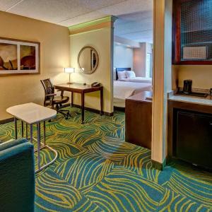 SpringHill Suites Marriott Norfolk Old Dominion University - 26