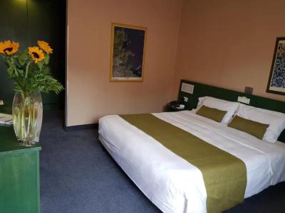 Best Western Mediterraneo - 33