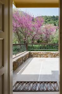 Mazaraki Guesthouse - 6