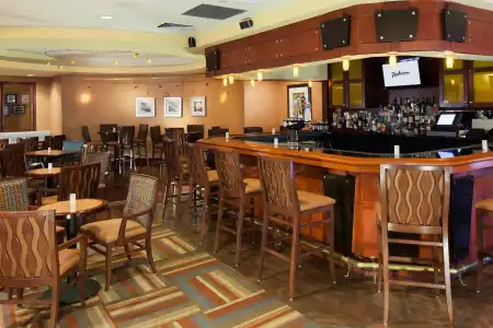 Doubletree By Hilton New York Jfk Airport - 13