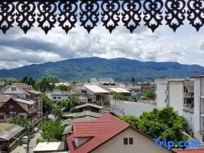 Bed and Terrace Guesthouse - 147