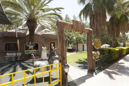 Seher Sun Palace Resort & Spa - All Inclusive - 17
