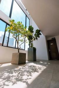 Gardenia Hue - 146