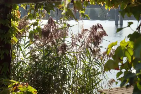 StrandAlte Donau - 18