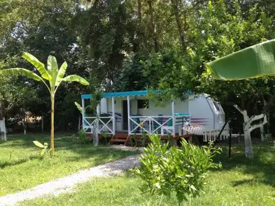 Bellerofon Camping - 41