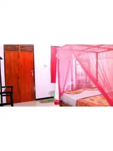 A One Calm Palace - 1