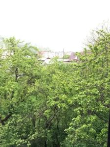 Areguni Guest House - 21