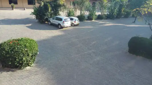 Lush Garden - 29