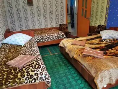 Petrovskaya Pristan 2 Guest House - 11