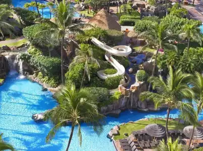 The Westin Maui Resort & Spa, Ka'anapali - 8