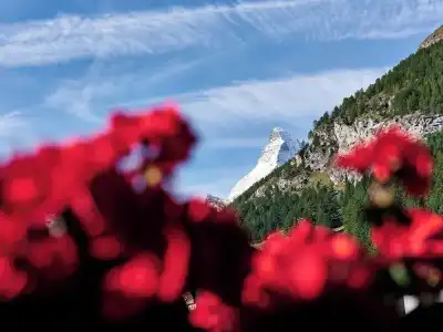 Ambassador Zermatt - 88