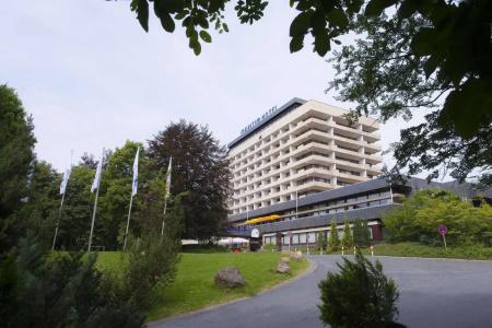 Ahorn Harz Braunlage - 20