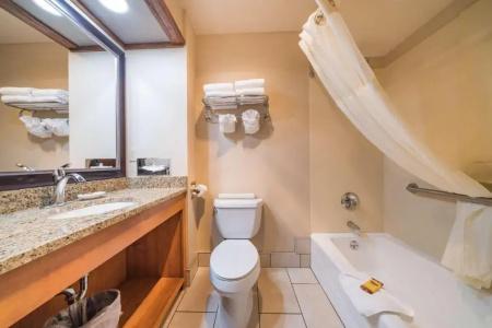 Best Western Plus GranTree Inn - 106
