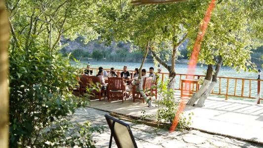 Dalyan Yunus - 29