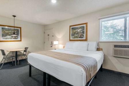 Birch Hill Suites - Lakeland - 5