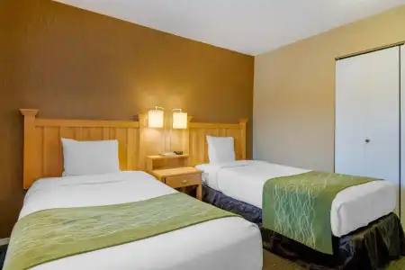 Econo Lodge Inn & Suites - 2