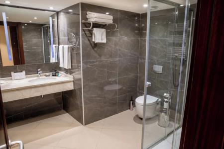 Grand Aras & Suites - 89