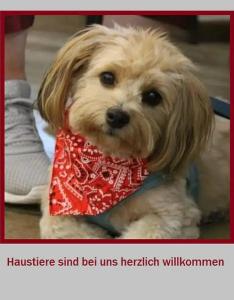 Stadt-gut-Rheinischer Hof - 9