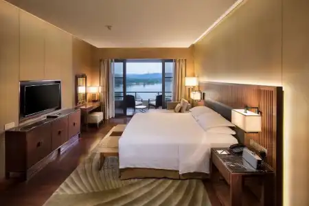 Hilton Wuhan Optics Valley - 101