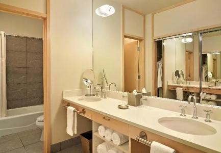 Aspen Meadows Resort - 28