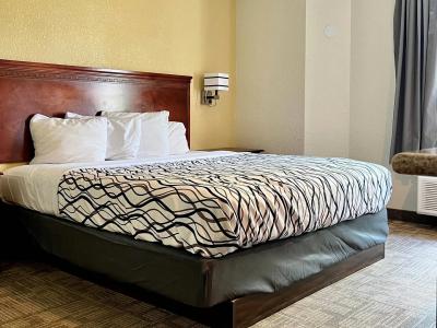 Rodeway Inn Airport - 19