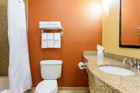 Sleep Inn & Suites Tyler South - 7
