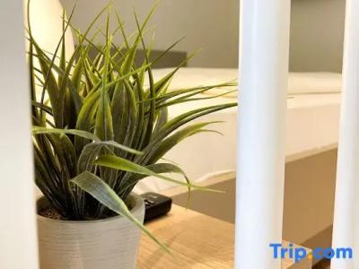 Holi City Apart Berlin - 40