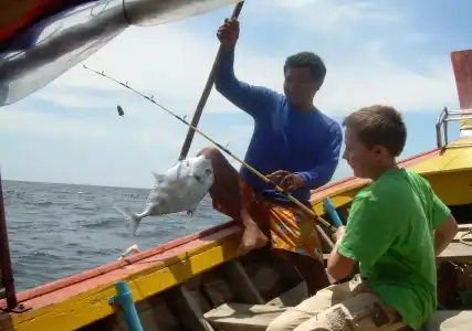 Alama Sea Village Resort - 20