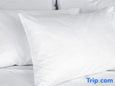 Best Western Premier Bayonne Etche Ona - Bordeaux - 93