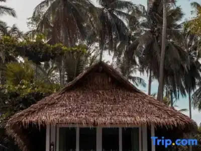 Pawapi Beach Resort - 106
