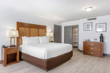 Best Western Plus El Paso Airport & Conference Center - 62