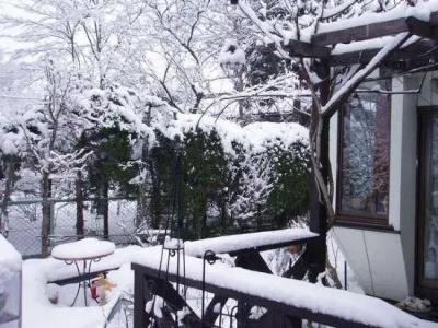 Pension Mori - 9