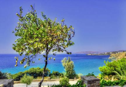 Aneroussa Beach - 7