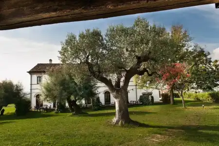 Villa Coralia - 67