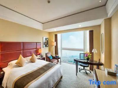 Shenzhen Century Kingdom - 66