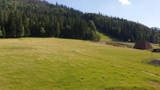 Apartament Nosal - 64