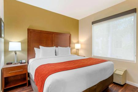 Comfort Inn & Suites near Ontario Airport - 32