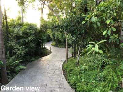 Taman Resort - 139