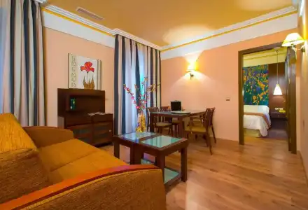 Suites Gran Via 44 Apartahotel - 43