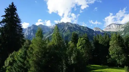 Dachsteinhof - 14