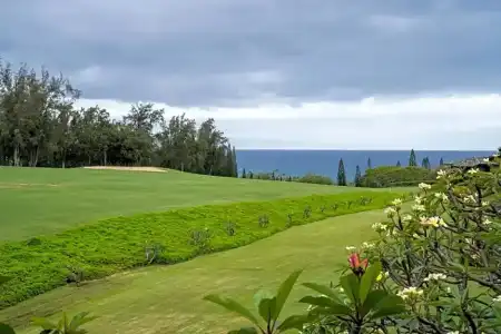 Kapalua Villas Maui - 107