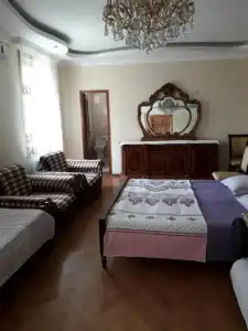 Magnolia Agmashenebeli - 21