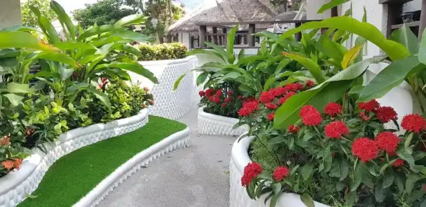 Clear View Resort - 223