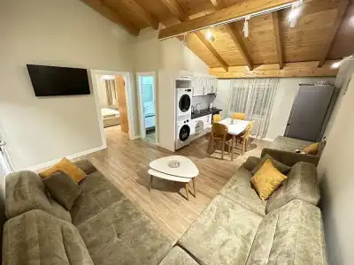 Arial Penthouse Suites - 34