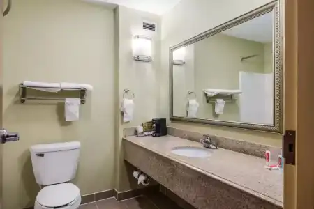 Econo Lodge Inn & Suites Little Rock SW - 7