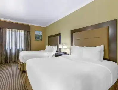 Royal Sun & Suites - 39